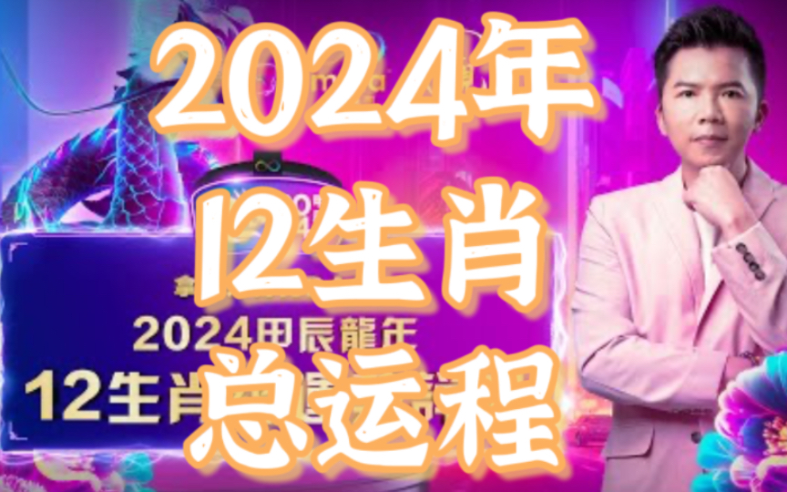 揭秘2024年一肖一码,2024年一肖一码内幕揭秘_精简版6.22