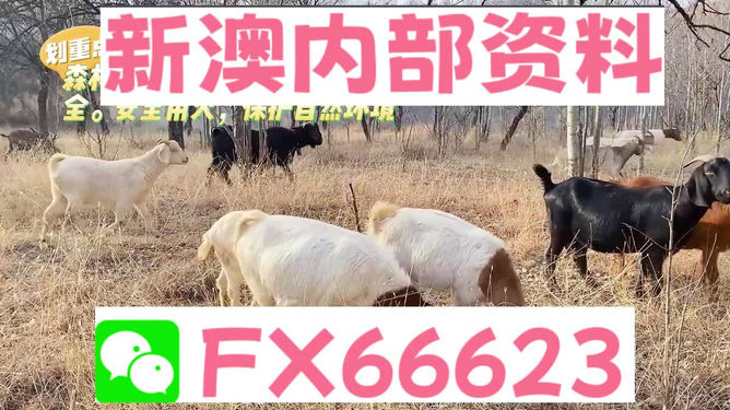 2024新澳正版资料最新更新,2024年最新澳大利亚资料更新解读_潮流版8.96