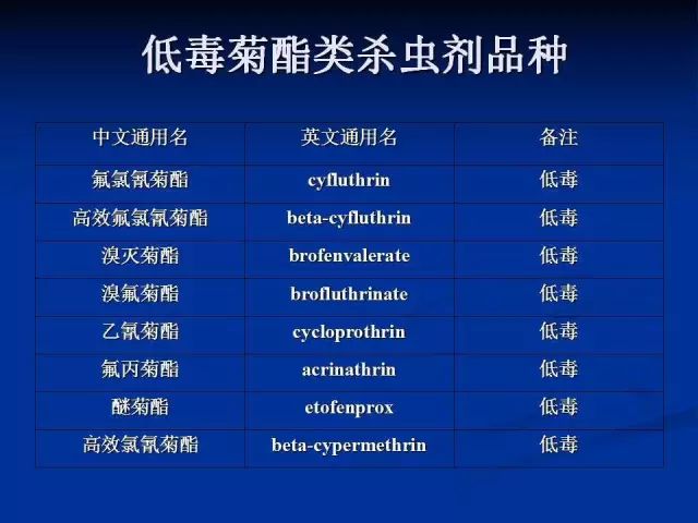 4949免费资料2024年,2024年4949资料全新解析_冒险版5.65