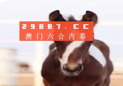 澳门一肖一码一一特一中厂，实地数据验证执行_限量款16.25.53