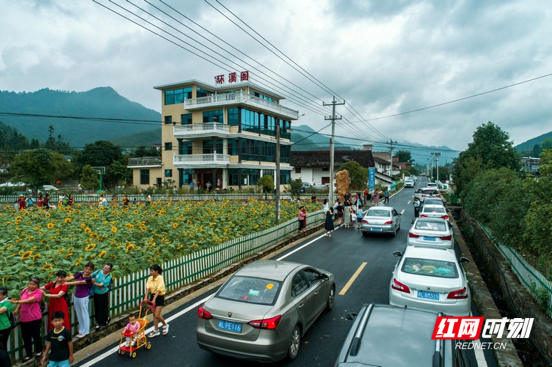 湖南桂东沙田地区最新新闻简报