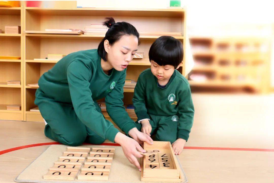 蒙特梭利早教培养，塑造未来之星的关键教育之道