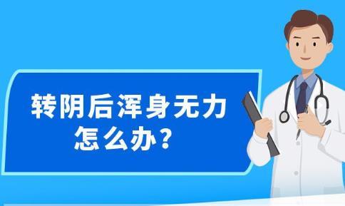 新澳精准资料免费提供,准确资料解释落实_LT48.241