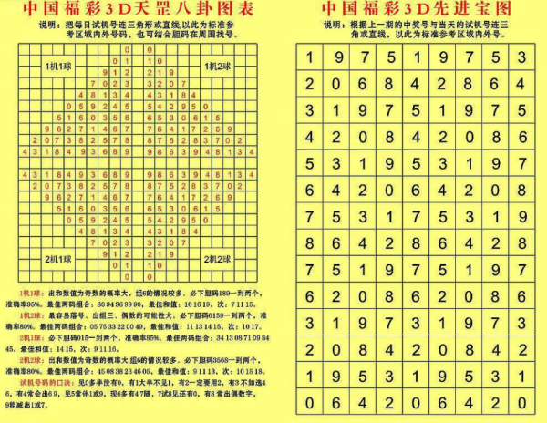 2024全年资料免费大全功能,功能性操作方案制定_3DM7.239