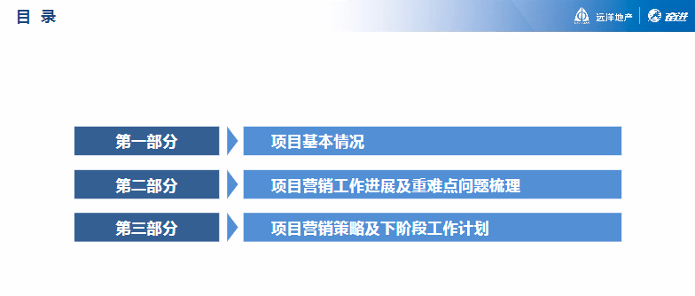 金龙彩正版资料官网,实用性执行策略讲解_旗舰版3.639