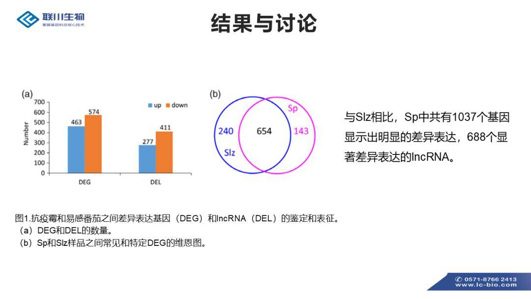 香港今年免费资料有哪些,调整方案执行细节_HD38.32.12