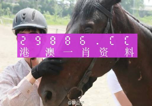 澳门一肖一码准肖,动态词语解释落实_标准版90.65.32