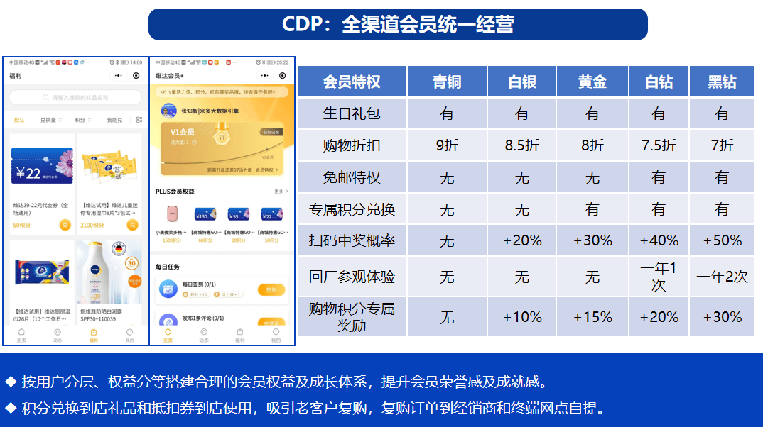 一码一肖100%精准,高效实施方法解析_win305.210