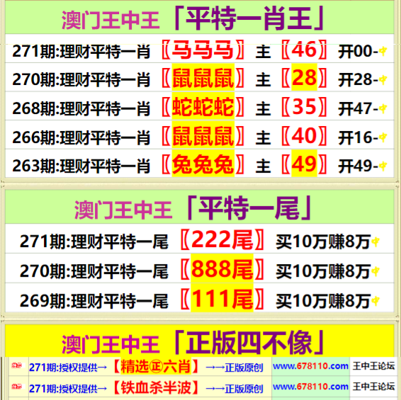 王中王精选公开高手资料,重要性解释落实方法_专业版2.266