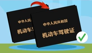 2024澳门特马今晚开什么深圳特区报,准确资料解释落实_ios2.97.118