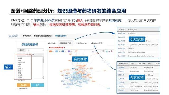 新奥最精准资料大全,广泛的解释落实方法分析_win305.210