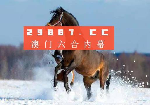 2023澳门天天彩期期精准,最新热门解答落实_潮流版3.739