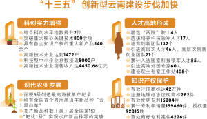 2024年新奥门天天开彩免费资料,决策资料解释落实_经典版172.312