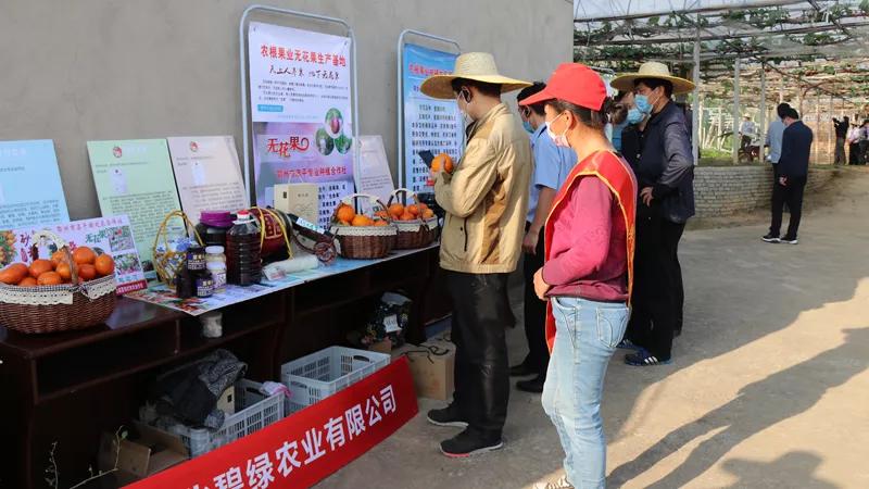 鄂州市沼山镇未来蓝图规划揭晓