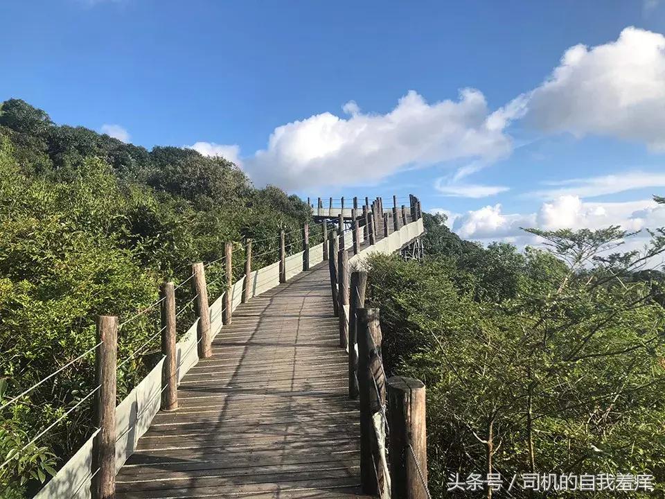 大叔举手投婚，爱情与命运的深情交织之旅