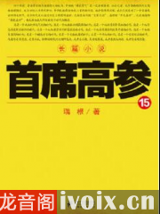 官途有声小说全集最新，权力与智慧的交织演绎之路