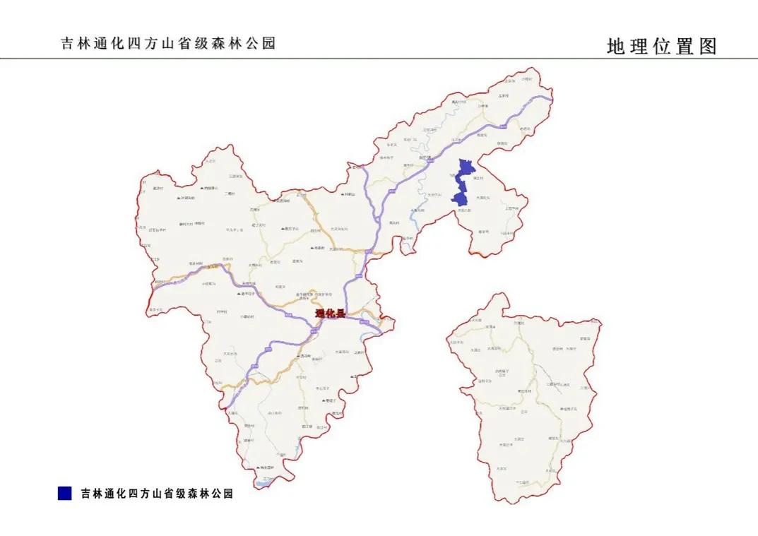 大安林场改革最新动态深度解析