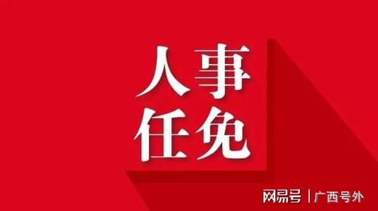 北海最新人事任免动态概览