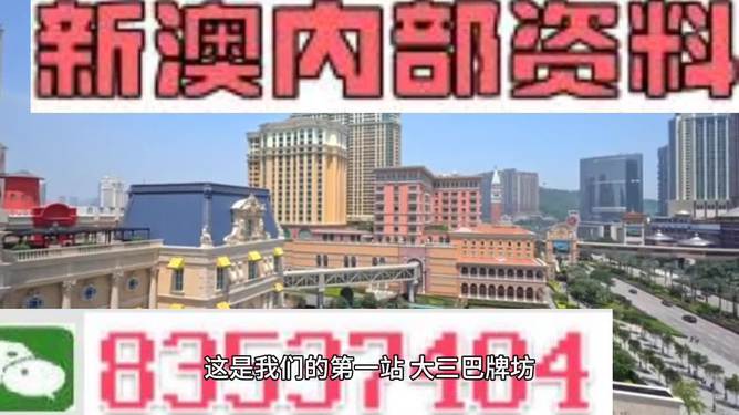 2024年香港正版资料免费大全精准,现状解答解释落实_精简版105.220