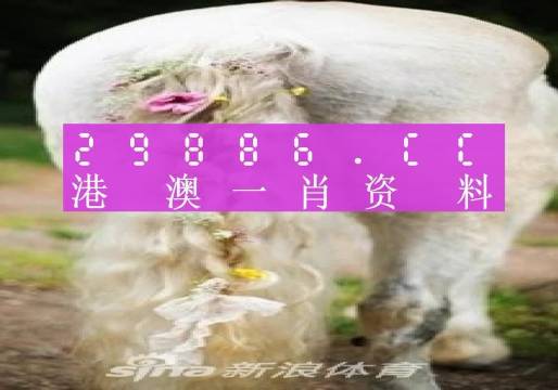 澳门必中一肖一码四不像,时代资料解释落实_旗舰版3.639