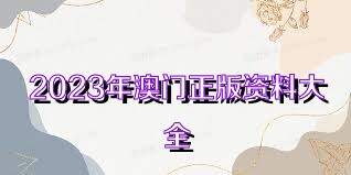 2023年澳门正版资料大全更新,决策资料解释落实_win305.210