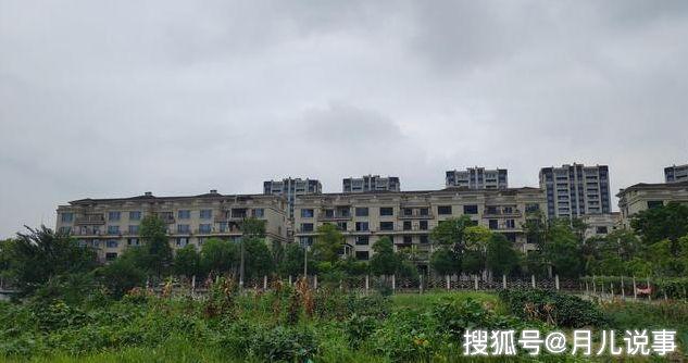 柏乡吧上吊事件引发社会关注与震惊最新消息