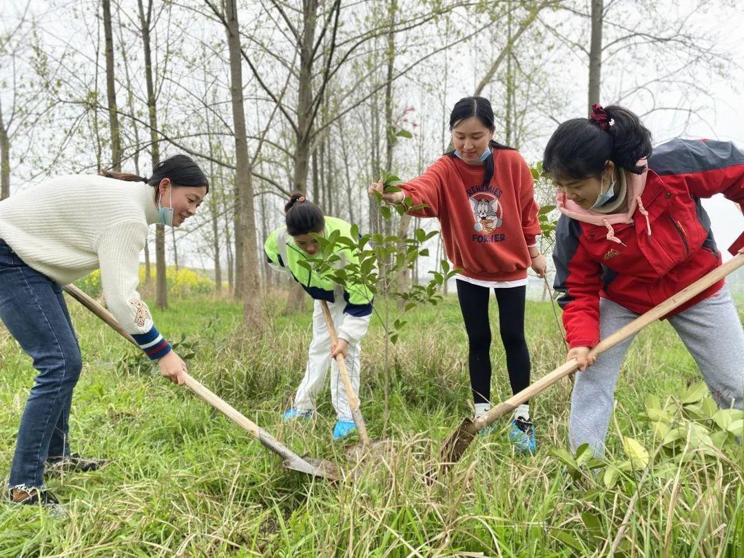 阳春幼儿园招聘启事，携手共筑美好教育梦想，共创未来教育篇章