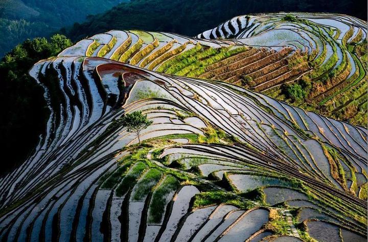 农家仙田最新章节，神秘田园奇幻之旅探寻起点