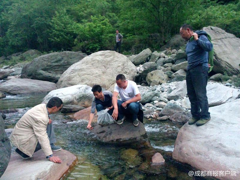 葫芦娃活动最新公告资讯速递